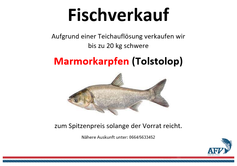 Silberkarpfen_1.jpg.png